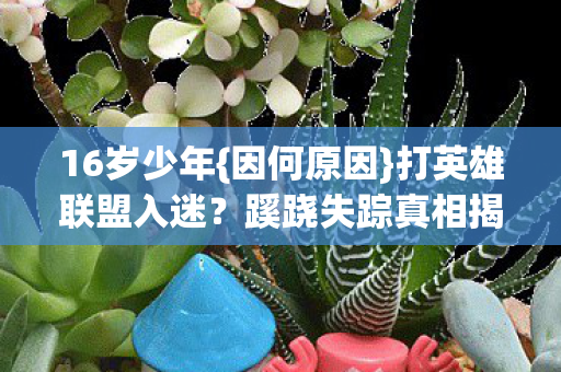 蹊跷失踪真相揭秘图片
