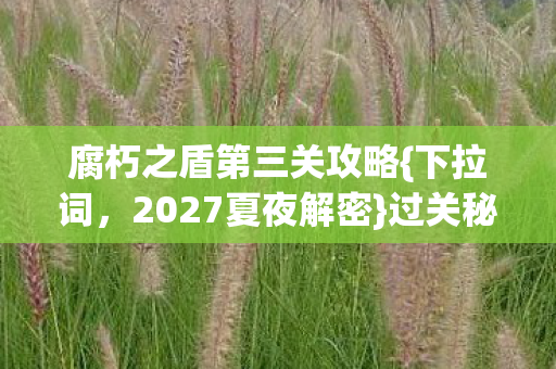 腐朽之盾第三关攻略{下拉词，2027夏夜解密}过关秘籍大公开