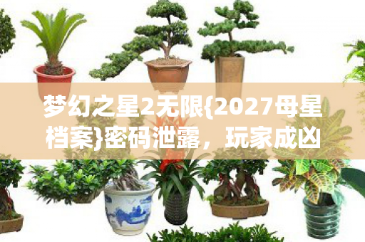 梦幻之星2无限{2027母星档案}密码泄露,玩家成凶器谁操控轮回? 梦幻之星2无限{2027母星档案}密码泄露,玩家成凶器谁操控轮回?
