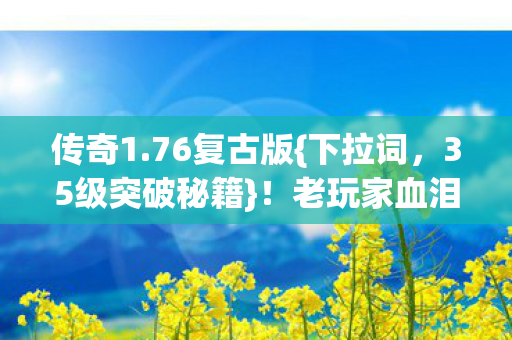 传奇1.76复古版{下拉词，35级突破秘籍}！老玩家血泪抉择
