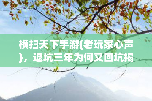 横扫天下手游{老玩家心声},退坑三年为何又回坑揭秘 横扫天下手游{老玩家心声},退坑三年为何又回坑揭秘