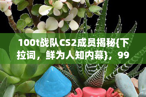 100t战队CS2成员揭秘{下拉词，鲜为人知内幕}，99%玩家不知