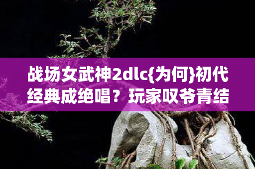 战场女武神2dlc{为何}初代经典成绝唱？玩家叹爷青结