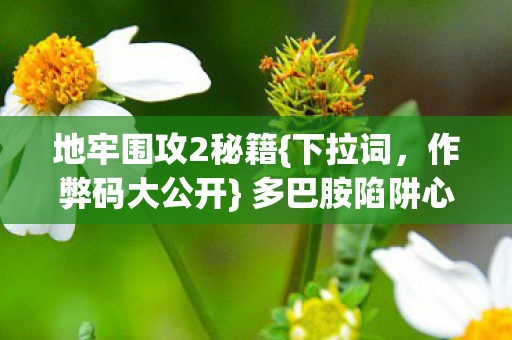 地牢围攻2秘籍{下拉词,作弊码大公开} 多巴胺陷阱心理揭秘 地牢围攻2秘籍{下拉词,作弊码大公开} 多巴胺陷阱心理揭秘
