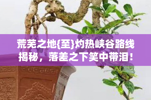 荒芜之地{至}灼热峡谷路线揭秘，落差之下笑中带泪！