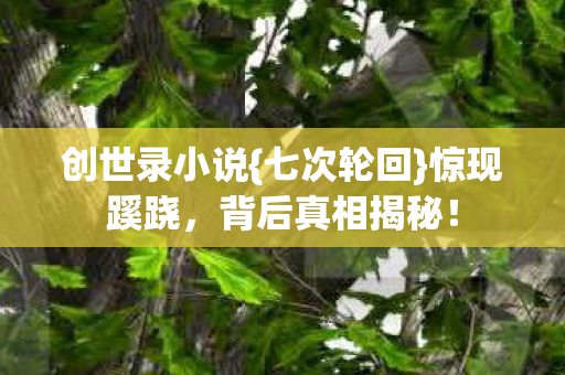 创世录小说{七次轮回}惊现蹊跷，背后真相揭秘！
