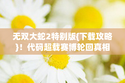 代码超载赛博轮回真相揭秘图片