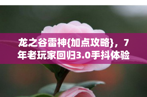 7年老玩家回归3图片