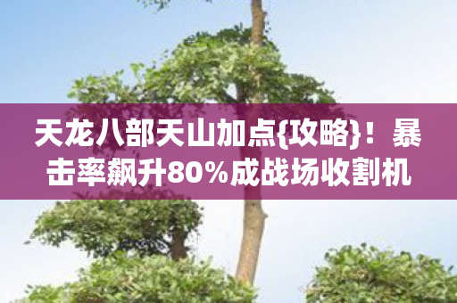 天龙八部天山加点图片