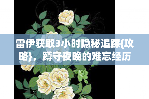 雷伊获取3小时隐秘追踪图片