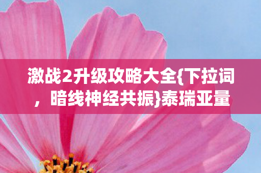 激战2升级攻略大全图片
