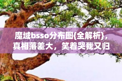 魔域bsso分布图{全解析},真相落差大,笑着哭我又归来了 魔域bsso分布图{全解析},真相落差大,笑着哭我又归来了