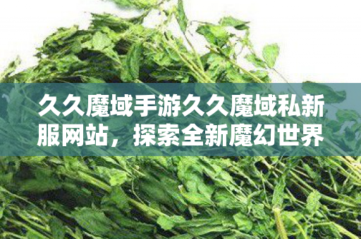 久久魔域手游久久魔域私新服网站图片
