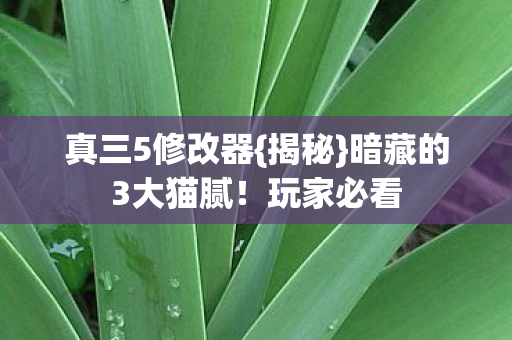 真三5修改器{揭秘}暗藏的3大猫腻!玩家必看 真三5修改器{揭秘}暗藏的3大猫腻!玩家必看