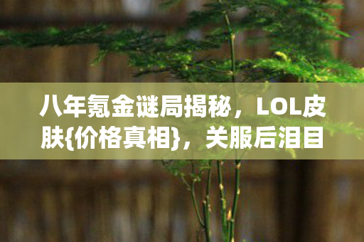 八年氪金谜局揭秘图片