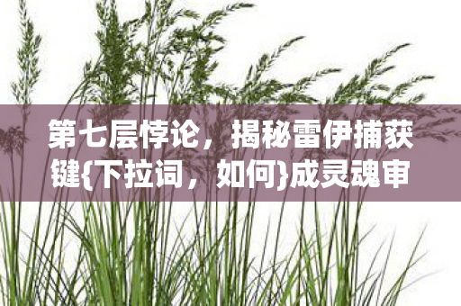 揭秘雷伊捕获键图片