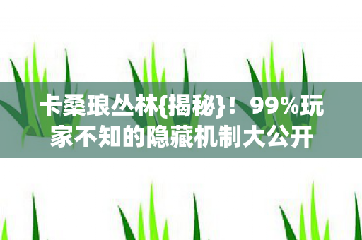 玩家不知的隐藏机制大公开图片