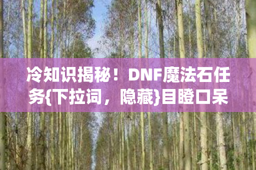 DNF魔法石任务图片