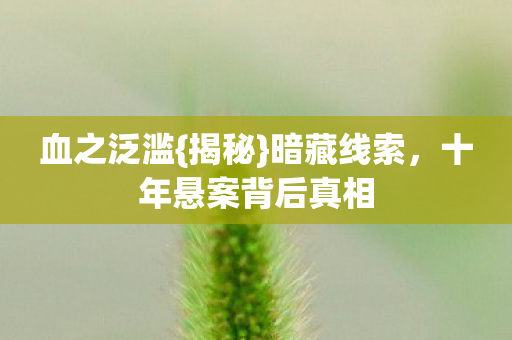十年悬案背后真相图片