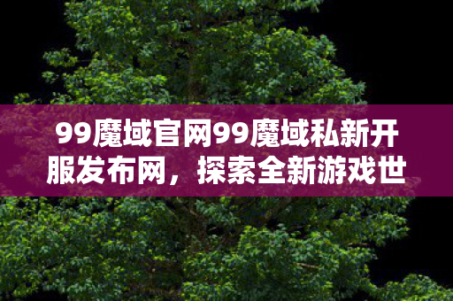 99魔域官网99魔域私新开服发布网图片