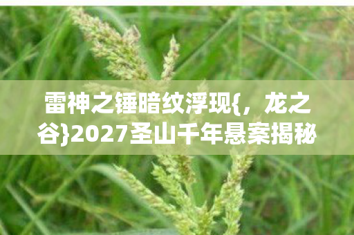 2027圣山千年悬案揭秘图片