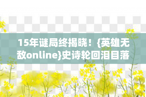 英雄无敌online图片