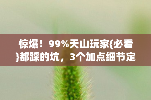 3个加点细节定战力图片