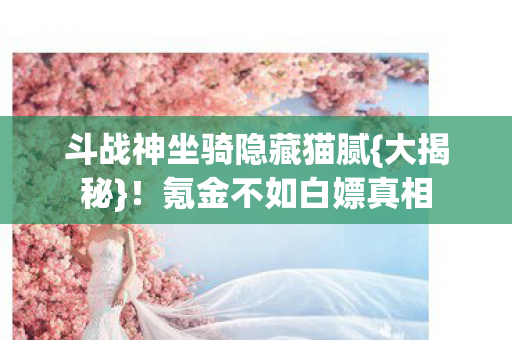 斗战神坐骑隐藏猫腻图片