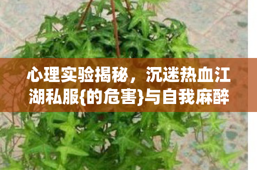 心理实验揭秘,沉迷热血江湖私服{的危害}与自我麻醉剂量表 心理实验揭秘,沉迷热血江湖私服{的危害}与自我麻醉剂量表