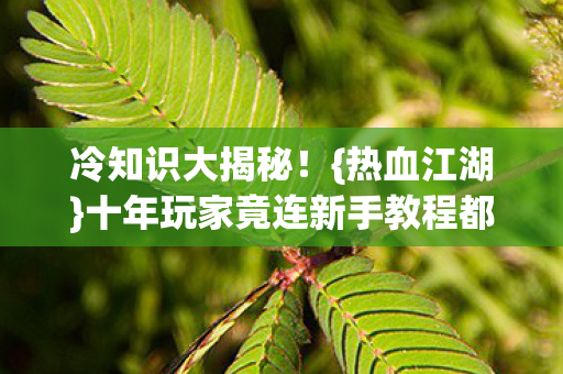 冷知识大揭秘！{热血江湖}十年玩家竟连新手教程都没搞懂？