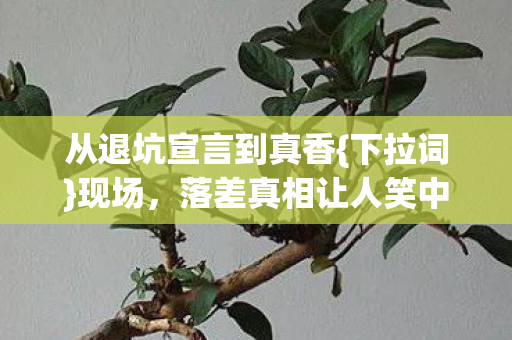 从退坑宣言到真香{下拉词}现场,落差真相让人笑中带泪 从退坑宣言到真香{下拉词}现场,落差真相让人笑中带泪