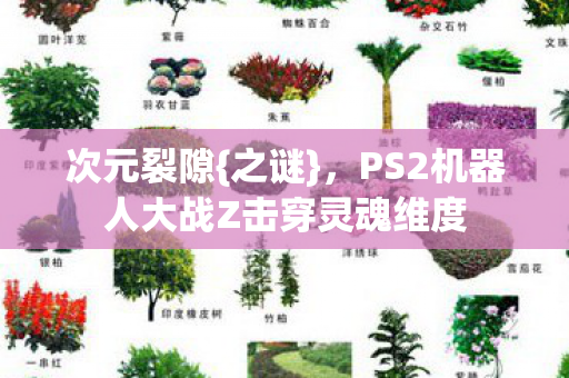 PS2机器人大战Z击穿灵魂维度图片