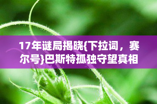 巴斯特孤独守望真相图片