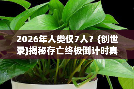 揭秘存亡终极倒计时真相图片