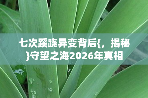 守望之海2026年真相图片