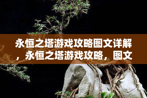 永恒之塔游戏攻略图文详解图片
