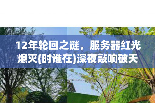 12年轮回之谜图片