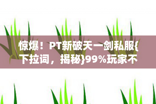 PT新破天一剑私服图片