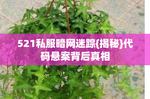 521私服暗网迷踪图片