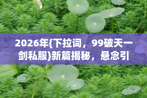 99破天一剑私服图片