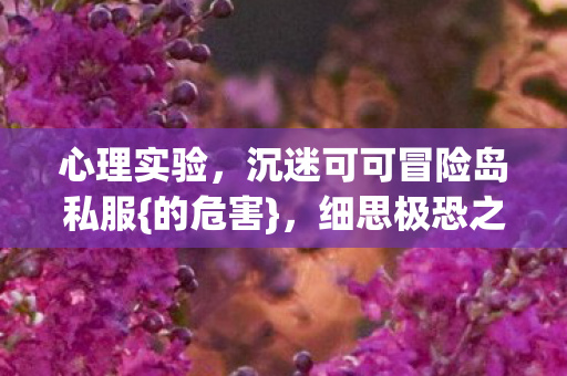 沉迷可可冒险岛私服图片