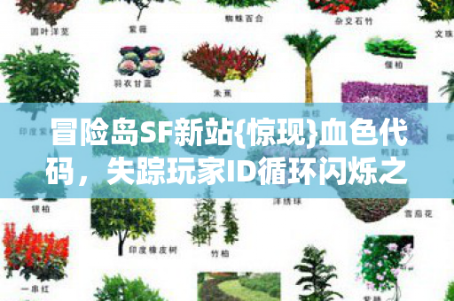 失踪玩家ID循环闪烁之谜图片
