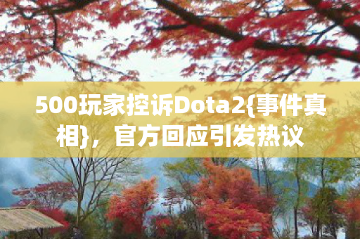 500玩家控诉Dota2图片