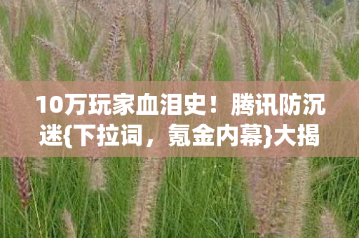 10万玩家血泪史图片