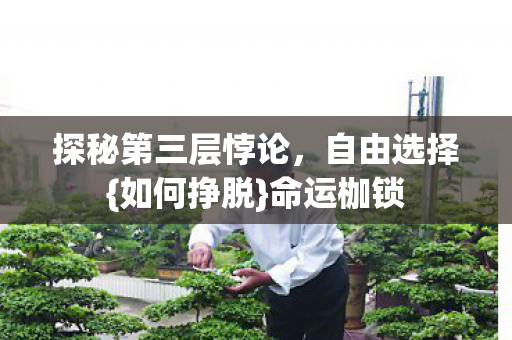 探秘第三层悖论图片