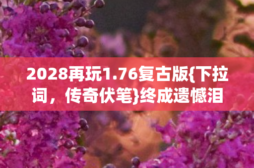 2028再玩1图片