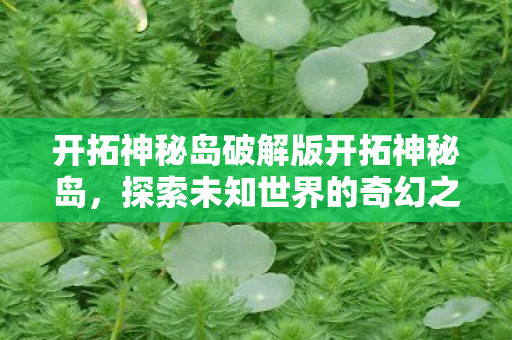 开拓神秘岛破解版开拓神秘岛图片