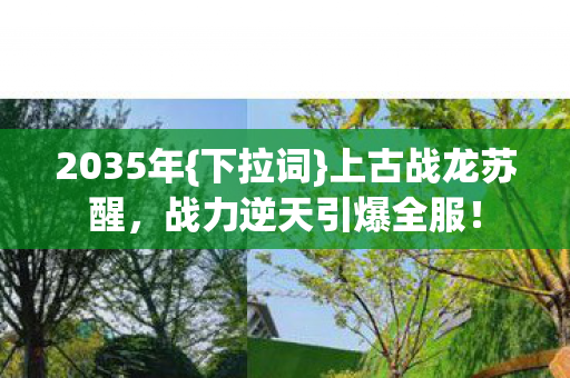 战力逆天引爆全服图片
