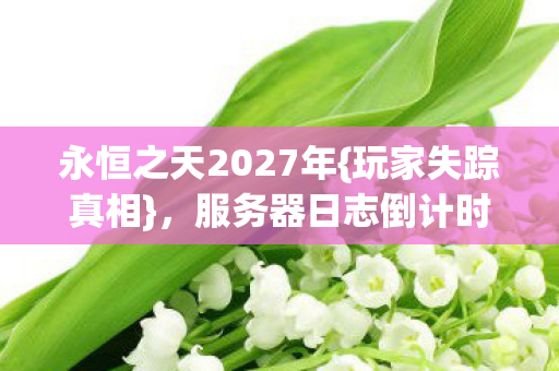 永恒之天2027年{玩家失踪真相},服务器日志倒计时揭秘 永恒之天2027年{玩家失踪真相},服务器日志倒计时揭秘