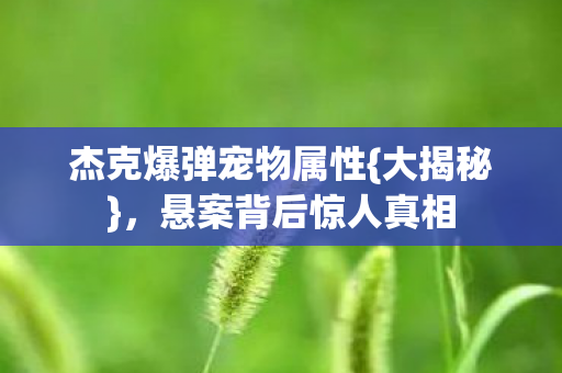杰克爆弹宠物属性图片